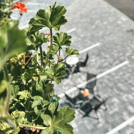 Gasthof Penzion Mlyn - Bystra